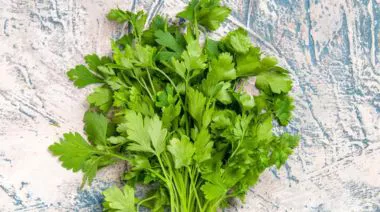 garnishing-instructions-image